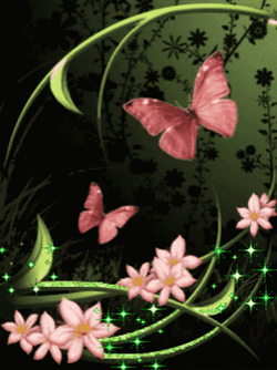 Buenos Dias Con Mariposas Undefined X Undefined Gif