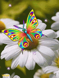 Buenos Dias Con Mariposas GIF