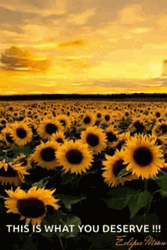 Buenos Dias Corazon GIF