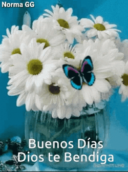 Buenos Dias Dios Te Bendiga GIF