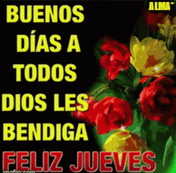 Buenos Dias Dios Te Bendiga GIF