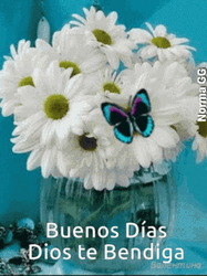 Buenos Dias Dios Te Bendiga GIF
