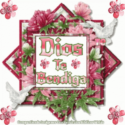 Buenos Dias Dios Te Bendiga GIF
