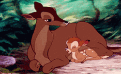 Buenos Dias Disney GIF