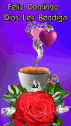 Buenos Dias Domingo GIF