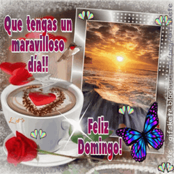 Buenos Dias Domingo GIF