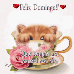 Buenos Dias Domingo GIF