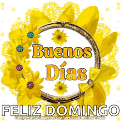Buenos Dias Domingo GIF