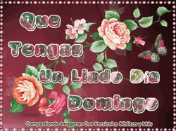 Buenos Dias Domingo GIF