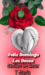 Buenos Dias Domingo GIF