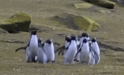 Buenos Dias Familia GIF