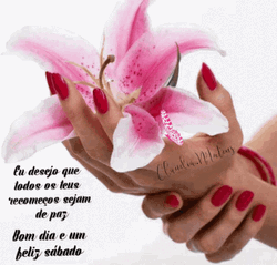 Buenos Dias Feliz Sabado Pink Butterfly GIF
