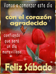 Buenos Dias Feliz Sabado Sparkling Roses GIF