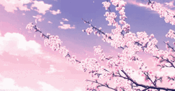 Buenos Dias Flores GIF