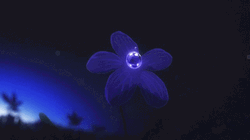 Buenos Dias Flores GIF