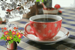 Buenos Dias Flores GIF