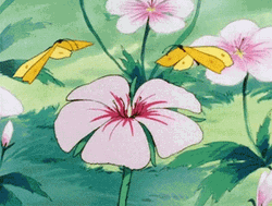 Buenos Dias Flores GIF