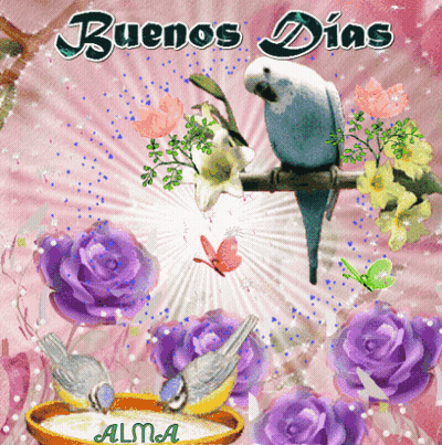 Buenos Dias Greeting Card With Purple Roses And Birds GIF