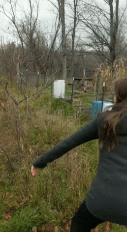 Buenos Dias Halloween GIF
