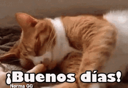 Buenos Dias Hija GIF