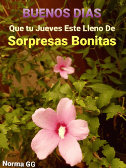 Buenos Dias Jueves GIF
