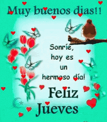 Buenos Dias Jueves GIF