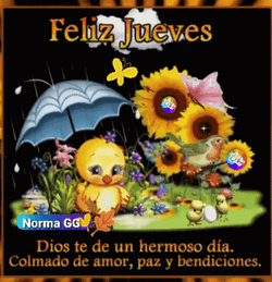 Buenos Dias Jueves GIF