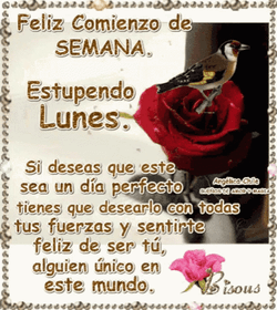 Buenos Dias Lunes GIF