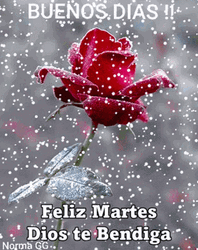Buenos Dias Martes GIF