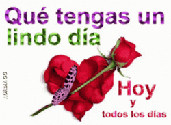 Buenos Dias Mi Amor Butterfly Rose GIF