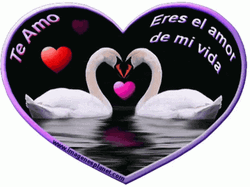 Buenos Dias Mi Amor Heart Swan GIF