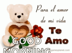 Buenos Dias Mi Amor Morning Bear GIF