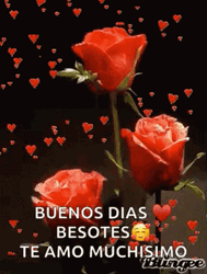 Buenos Dias Mi Amor Romantic Love GIF