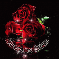 Buenos Dias Mi Amor Sparkling Roses GIF