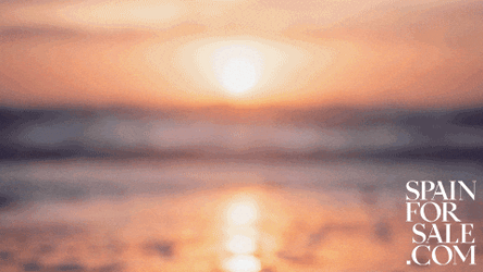 Buenos Dias Miercoles GIF