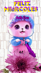 Buenos Dias Miercoles GIF