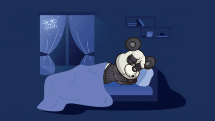 Buenos Dias Osito GIF