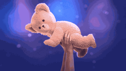 Buenos Dias Osito GIF