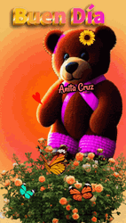 Buenos Dias Osito GIF