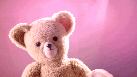 Buenos Dias Osito GIF