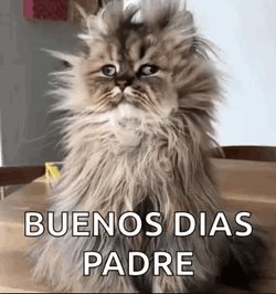Buenos Dias Papa GIF