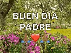 Buenos Dias Papa GIF