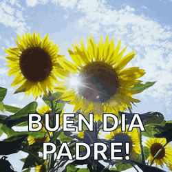 Buenos Dias Papa GIF
