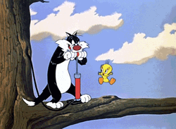 Buenos Dias Piolin GIF