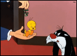 Buenos Dias Piolin GIF