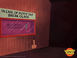 Buenos Dias Piolin GIF