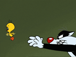 Buenos Dias Piolin GIF
