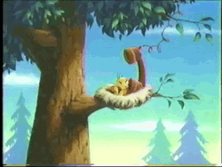 Buenos Dias Piolin GIF