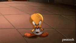 Buenos Dias Piolin GIF