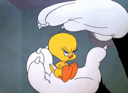 Buenos Dias Piolin GIF